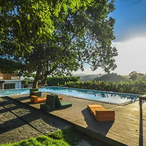 clave-verde-ecolodge.comcaribbean.com/
